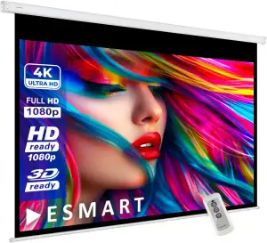 ESMART Economy EXM Motor-Leinwand 277 cm Bild 240 x 135 cm (108") | Format 16:9 