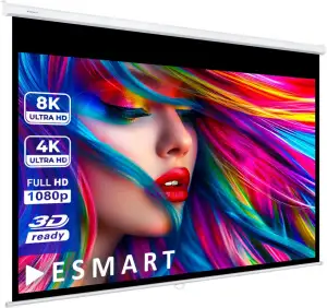 ESMART Professional MIROLO Rollo-Leinwand 241 cm Bild 221 x 125 cm (100") 16:9 |