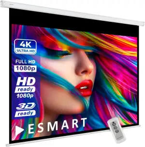 ESMART Economy EXM Motor-Leinwand 277 cm Bild 240 x 180 cm (118") | Format 4:3 |