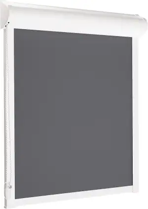 schattenfreu.de Thermo-Rollo mit Kassette nach Maß | Zum Anschrauben am Fensterrahmen oder an der...